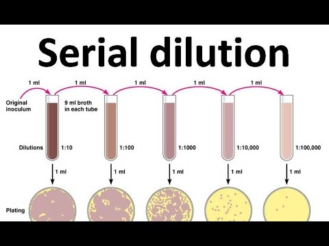 Serial Dilution Pdf
